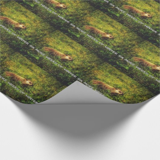 Sechs weitere Wochen Winterverpackungspapier Geschenkpapier (Ecke)