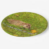 Sechs Wochen weniger Winter-Teller Pappteller (Schrägansicht)