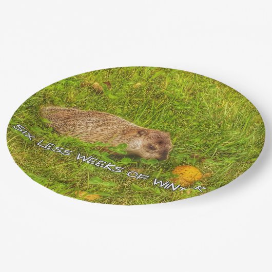 Sechs Wochen weniger Winter-Teller Pappteller (Schrägansicht)