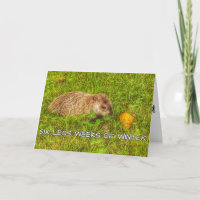 Sechs Wochen weniger Wintergrußkarte