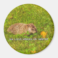 Sechs Wochen weniger Wintermagnet