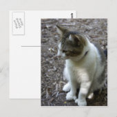 Sechs Zehen Postkarte (Vorne/Hinten)