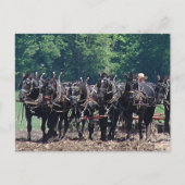 Sechspferd-Team Postkarte (Vorderseite)