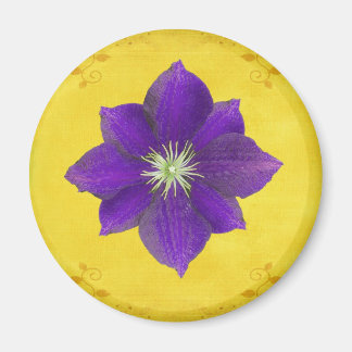 Sechstes Chakra-Geschenk - Drittes Auge Magnet