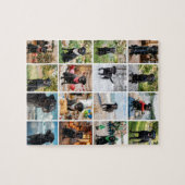 Sechzehn-Foto-Collagen-Vorlage Puzzle (Horizontal)