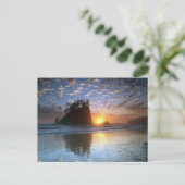 Second Beach, La Push, Sonnenuntergang, Postkarte (Stehend Vorderseite)