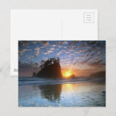 Second Beach, La Push, Sonnenuntergang, Postkarte (Vorne/Hinten)