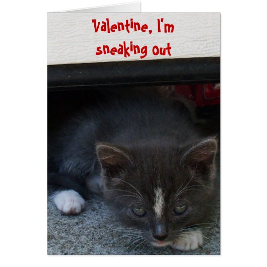 SECRET ADMIRER VALENTINE KITTY Card (Vorne)