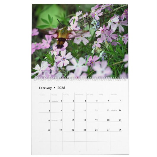 Secret Garden 12 Monate Blume Kalender (Feb 2026)