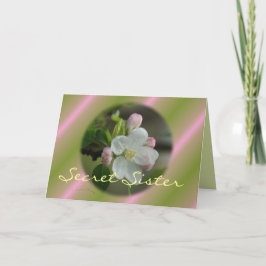 Secret Sister Apple Bloom Card - anpassen Karte