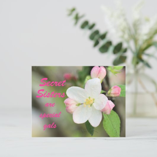 Secret Sister Apple Blossom Postcard - anpassen Postkarte (Stehend Vorderseite)