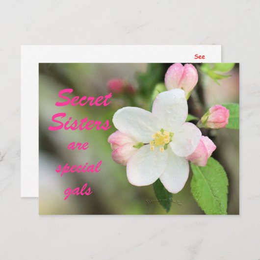 Secret Sister Apple Blossom Postcard - anpassen Postkarte (Vorne/Hinten)