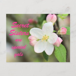 Secret Sister Apple Blossom Postcard - anpassen Postkarte