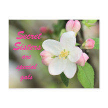 Secret Sister Apple Blossom Postcard - anpassen