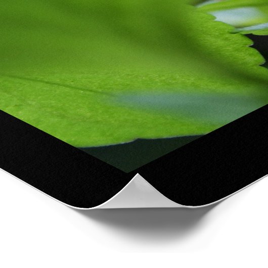 Secret Violet Floral Fotoster Poster (Ecke)