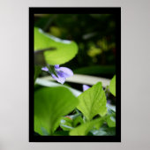 Secret Violet Floral Fotoster Poster (Vorne)