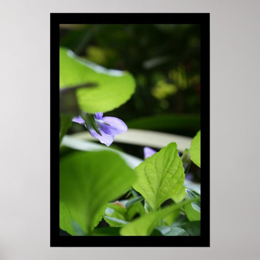 Secret Violet Floral Fotoster Poster (Vorne)