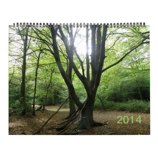 Secret Wild London 2014 Calendar Kalender (Titelbild)