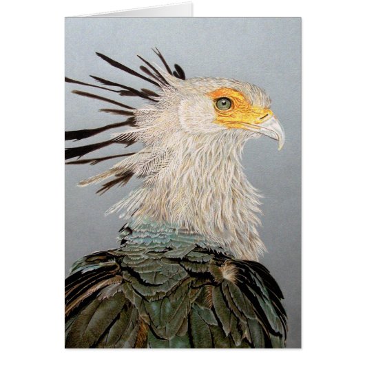 Secretary Bird (Vorne)