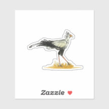 Secretary Bird