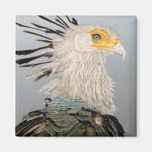 Secretary Bird Magnet (Vorne)