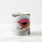Secretary Bird of South Africa Foto Kaffeetasse (Mittel)