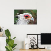 Secretary Bird of South Africa Foto Poster (Heimbüro)