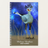Secretary Bird Planer (Vorderseite)