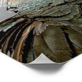 Secretary Bird Poster (Ecke)