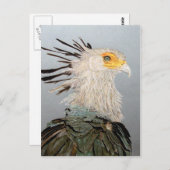 Secretary Bird Postkarte (Vorne/Hinten)
