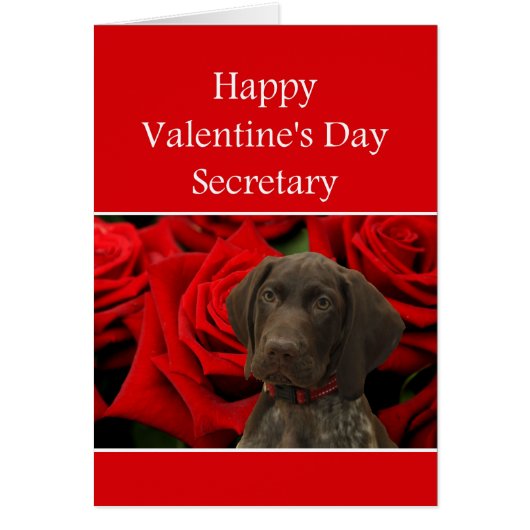Secretary Glossy Grizzine Valentine Puppy Liebe (Vorne)
