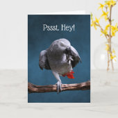 Secretive African Gray Parrot Birthday Karte (Gelbe Blume)