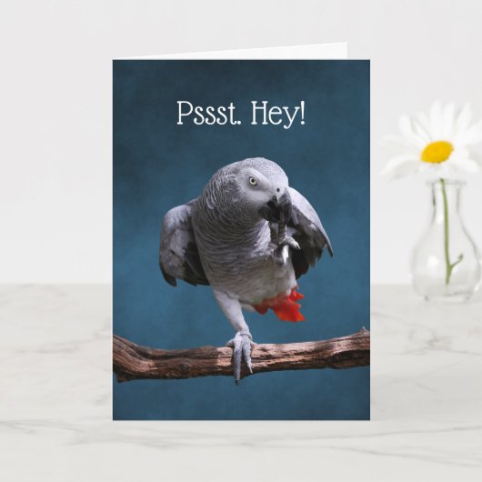 Secretive African Gray Parrot Birthday Karte (Kleine Pflanze)