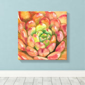 Sedeveria 'Pink Ruby' von Debra Lee Baldwin Leinwanddruck (Insitu (Holzboden))