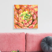 Sedeveria 'Pink Ruby' von Debra Lee Baldwin Leinwanddruck (Insitu (Wohnzimmer))