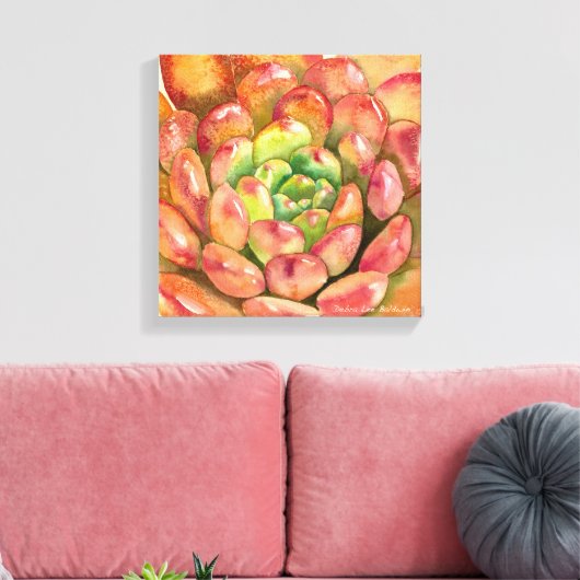 Sedeveria 'Pink Ruby' von Debra Lee Baldwin Leinwanddruck (Insitu (Wohnzimmer))