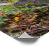 SEDONA ARIZONA STREAMING EIN ANDERER TAG POSTER (Ecke)