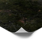 Sedona, Arizona Tal 3069 Poster (Ecke)