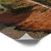 Sedona - Bell Rock Poster (Ecke)