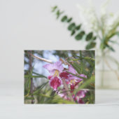 Sedona-Blume Postkarte (Stehend Vorderseite)