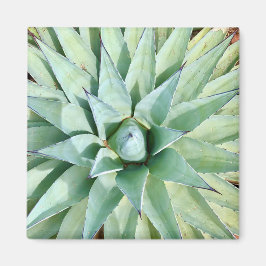 Sedona Green Agave Pflanzen Magnet