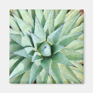 Sedona Green Agave Pflanzen Magnet