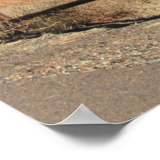 Sedona Poster (Ecke)