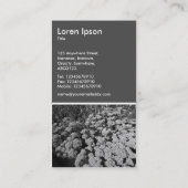 Sedum Autumn Joy (B&W) - 70pc Gray Visitenkarte (Rückseite)