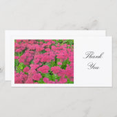 Sedum (Freude im Herbst) - Danke (Vorne/Hinten)