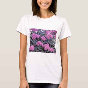 Sedum Herbst-Freude T-Shirt