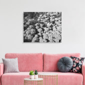Sedum Herbstfreude (B&W) Leinwanddruck (Insitu (Wohnzimmer))