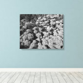 Sedum Herbstfreude (B&W) Leinwanddruck (Insitu (Holzboden))