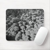 Sedum Herbstfreude (B&W) Mousepad (Mit Mouse)