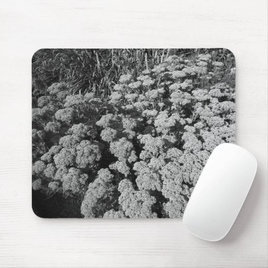 Sedum Herbstfreude (B&W) Mousepad (Mit Mouse)